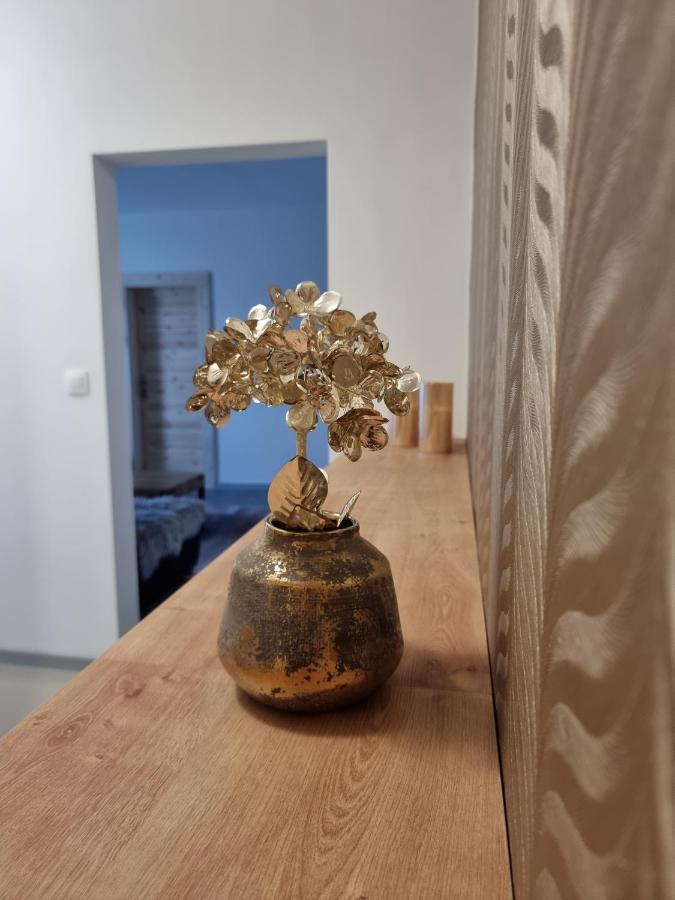 Bivio Apartment Dolna Банська Штявниця Екстер'єр фото